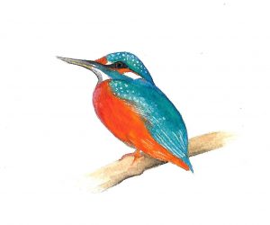 Watercolour on paper, (18x18cm)