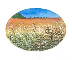 Ink & watercolour on paper, 15x11cm