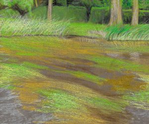 Pastel on paper, (29x20.5cm)